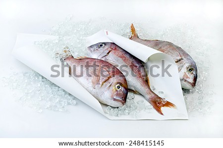 Fresh frozen fish on white paper with ice.
