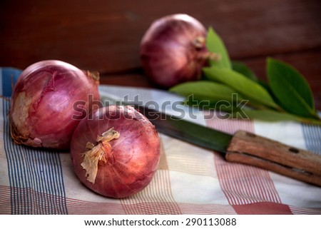 Unpeeled onions on kitchen cloth with fresh laurel leaves on rustic wooden background.