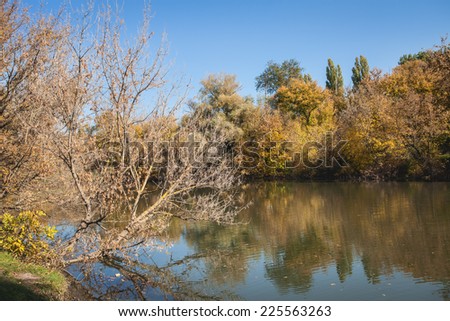 river autumn in the Park yellow and green leaves shade from trees and sunshine of an autumn forest in the forest