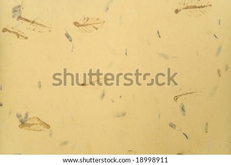 High resolution scan of handmade paper embedded with natural leaves and other plant matter