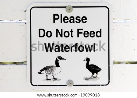 Sign posted by a lake warning the public not to feed the birds