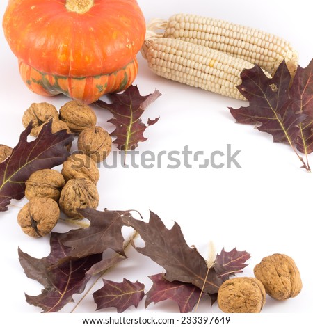 autumn composition on white background, pumpkin leaves corn nuts