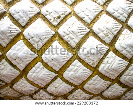 Pattern background in white dragon scales.