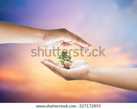 Human hand holding medium green plant with soil on blurred abstract. Ecology, World Environment, Tree of Knowledge concept.