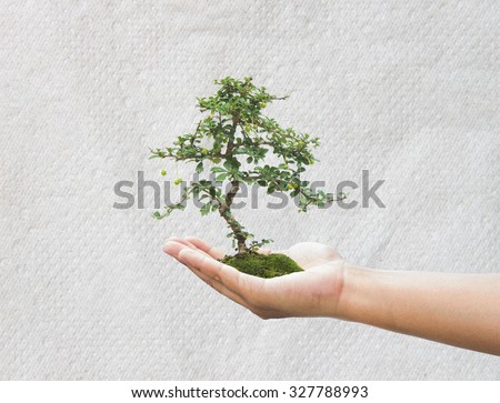 Human hand holding medium green plant with soil on blurred abstract. Ecology, World Environment, Tree of Knowledge concept.,Concept save paper