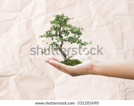 Human hand holding medium green plant with soil on blurred paper abstract. Ecology, World Environment, Tree of Knowledge concept, save paper.