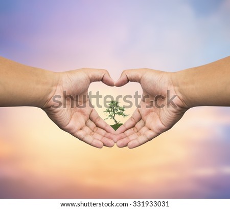 Human hand holding medium green plant with soil on blurred abstract. Ecology, World Environment, Tree of Knowledge concept.