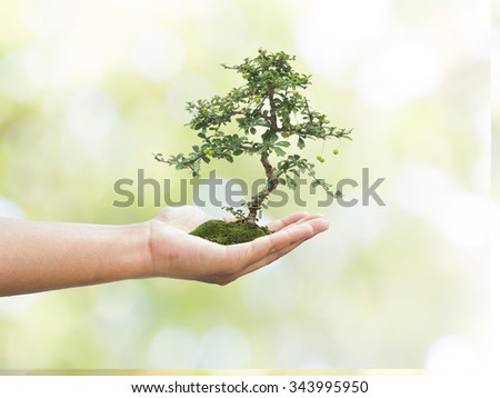 Human hand holding medium green plant with soil on blurred nature abstract. Ecology, World Environment, Tree of Knowledge concept.