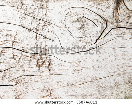 Paper texture wood background in light white color tone.