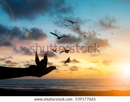 silhouette hand kid release paper bird to fly with the birds freely imagination praying and free bird fly over blurred nature sunset background.