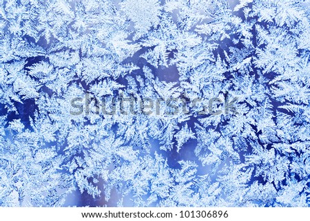 Beautiful frost pattern on a winter window