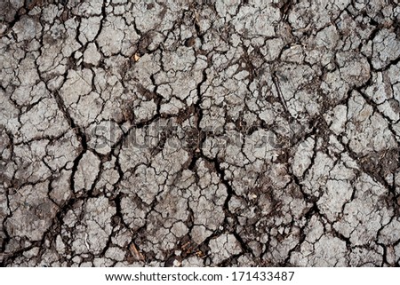 Land with dry cracked ground texture background