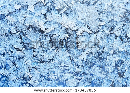 Beautiful pattern of frost on  winter window