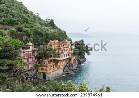 Pink and yellow seaside villas on a green hill Portofino with a flying seagull
