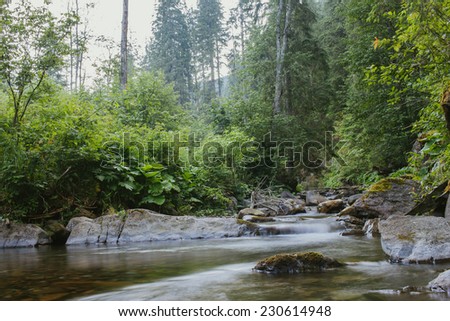 beautiful nature, river flow