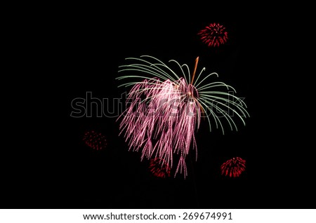Close up of Abstract sakura firework from japanese traditional summer festival.