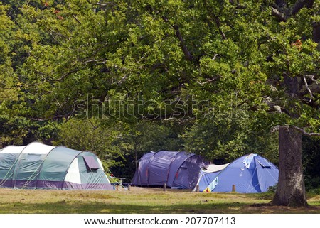 Big family size tents in a woodland campsite