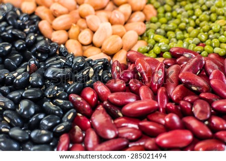 Set vegetarian bean isolated on white background