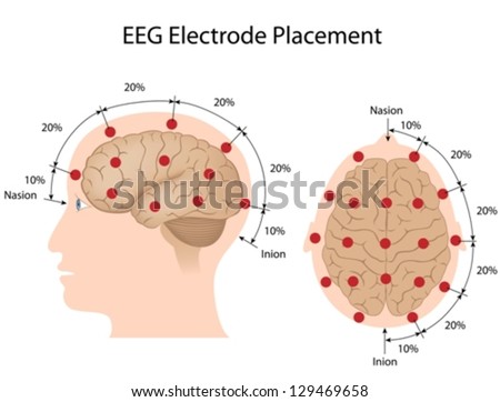 full eeg hook up