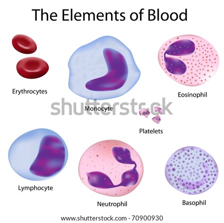 Elements Of Blood