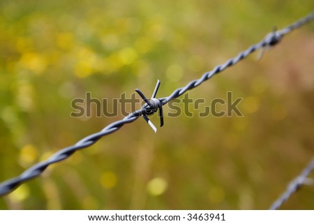 Macro shot of barbed wire around flower field.