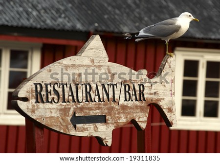 seagull sitting on a wooden restaurant-bar sign