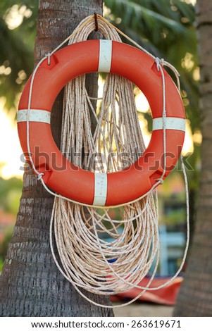 Circular red Life Buoy hanging on the palm tree