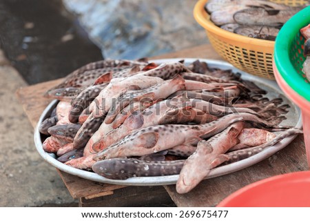Traditional asian fish market stall full of fresh fish