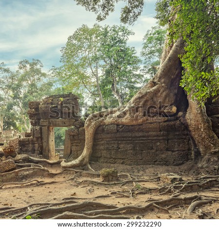 Ta Prohm famouse giant tree with ancient roots
