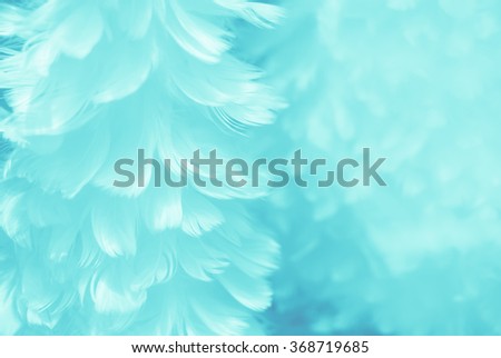 Puffy baby blue bird feather animal texture background - shallow depth of field and soft focus