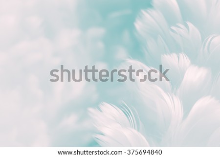 White fluffy feathers on pale teal blue background - Fashion Color Trends Spring Summer 2016 - soft focus