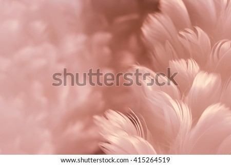 Fluffy white feathers on purplish austerity brown soft focused photograph - Fashion Color Trends Fall Winter 2016 - 2017 - Woman wear collection - Set 1