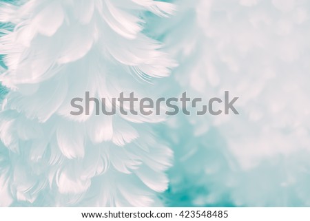 Fluffy white feather angel wings closeup on baby blue colored background - Fashion Color Trends Fall Winter 2016 2017 Set 2 - and light turquoise to Immature Blue color of Spring Summer 2017