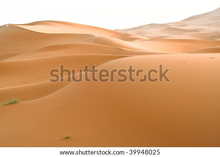moroccan desert dune