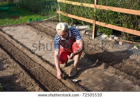 Spring works in the garden. Sowing vegetable crops