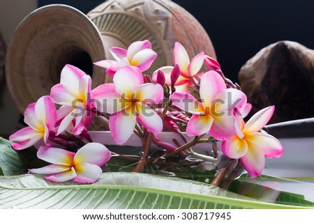 beautiful charming aroma pink flower plumeria made  more classic with vintage and boutique look for spa decoration