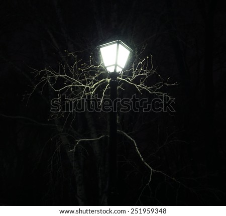 lantern at night in a park