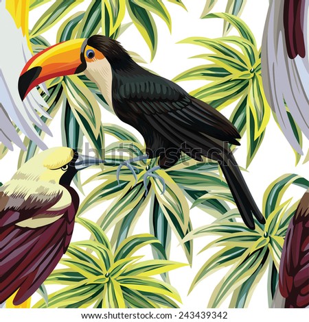 toucan and bird tropical background