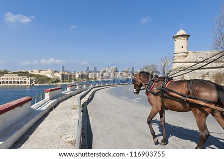 Horse and carriage in Valletta, Malta