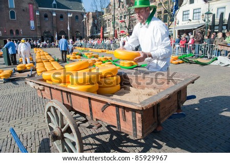 ALKMAAR, NETHERLANDS - APRIL 8: An unidentified cheese carrier at the traditional cheese market, Alkmaar, Netherlands on April 8, 2011. The market is open on Friday mornings from April to September in the city center.
