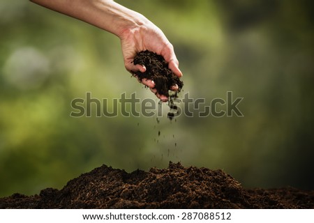 Planting a small plant on a pile of soil on green bokeh backgrou