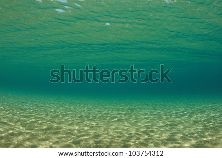 Underwater Background Image of Sand and Surface in the Ocean