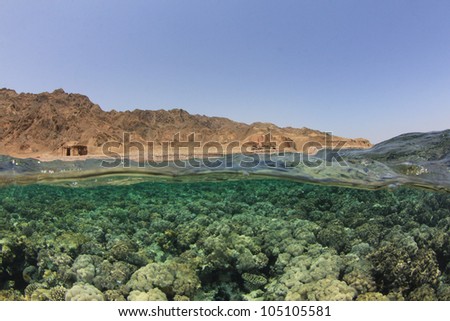 Half and Half Split Image of Red Sea Coral Reef and Sinai Desert