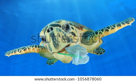Plastic underwater pollution problem. Sea Turtle eating discarded plastic straw and bags. Environmental destruction