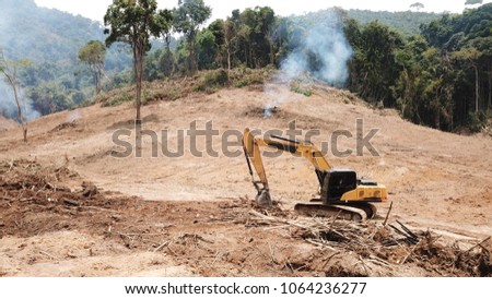 Deforestation. Environmental destruction of rainforest. Borneo forest destroyed for oil palm plantations