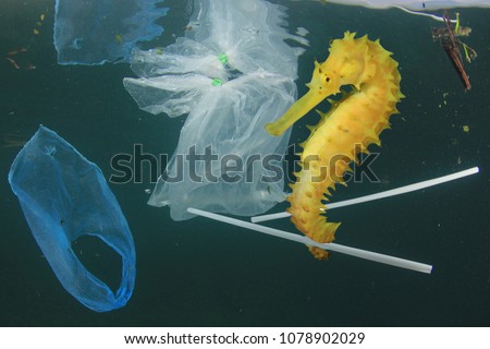 Plastic pollution in ocean. Seahorse fish and plastic garbage