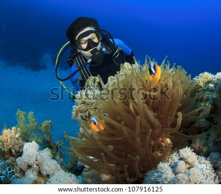 Female Scuba Diver finds Nemo