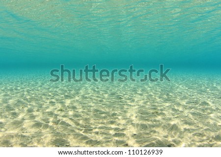 Dappled Sunlight on Sandy Sea Floor Underwater