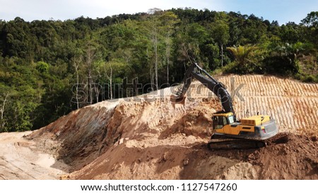 Deforestation. Destruction of Borneo rainforest for palm oil industry.
