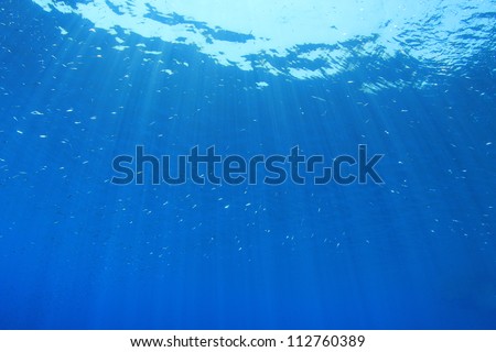 Abstract Blue Underwater Background with sunbeams and small fish fry